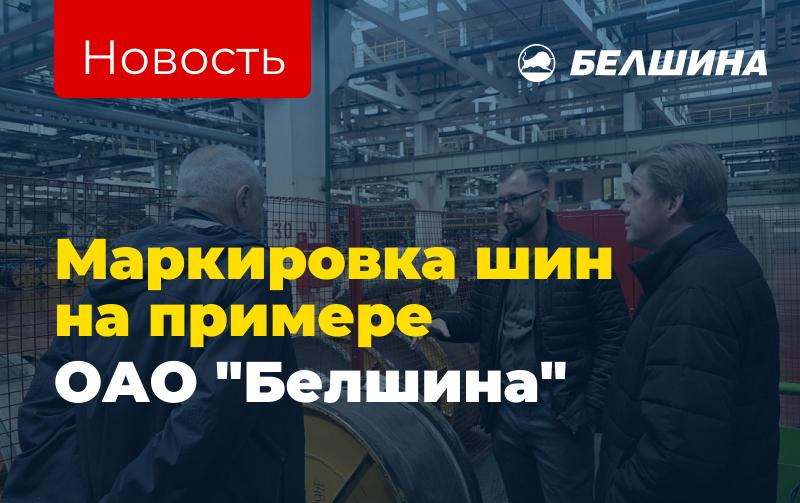 Маркировка шин на примере ОАО "Белшина"